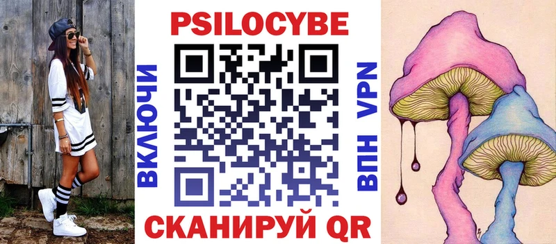 Галлюциногенные грибы Psilocybe  Обоянь 